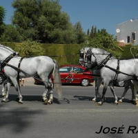 Foto de Jerez  de la Frontera