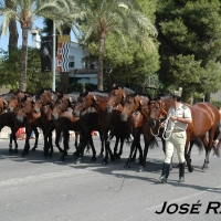 Foto de Jerez  de la Frontera