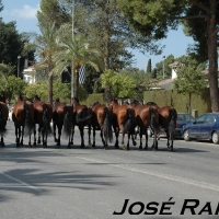 Foto de Jerez  de la Frontera