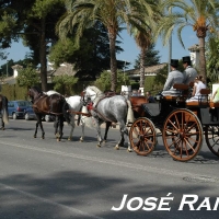 Foto de Jerez  de la Frontera