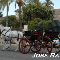 Foto de Jerez  de la Frontera