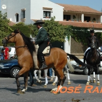 Foto de Jerez  de la Frontera