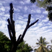 Foto de Coatzacoalcos