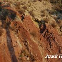 Foto de Jerez  de la Frontera
