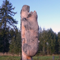 Foto de Joroinen