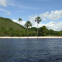 Foto de Canaima