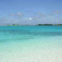 Foto de Los Roques