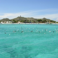 Foto de Los Roques
