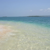 Foto de Morrocoy