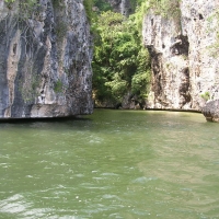 Foto de Morrocoy