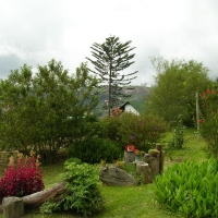 Foto de Colonia Tovar