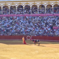 Foto de Sevilla