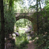 Foto de Cazorla