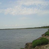 Foto de La Camargue