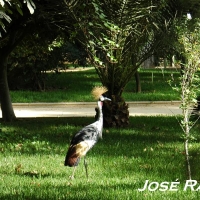 Foto de Jerez  de la Frontera