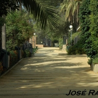 Foto de Jerez  de la Frontera