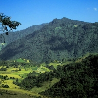 Foto de Qimixtlan, Puebla