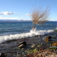 Foto de Bariloche