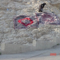 Foto de Tehran