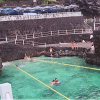 Foto de San Andres y Los Sauces - La Palma