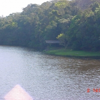 Foto de COTIA