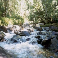 Foto de COTIA