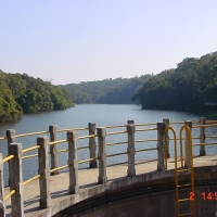 Foto de COTIA