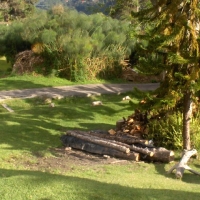 Foto de Colonia Tovar