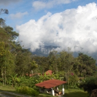 Foto de Colonia Tovar