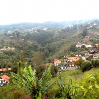Foto de Colonia Tovar
