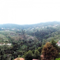 Foto de Colonia Tovar