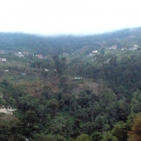 Foto de Colonia Tovar