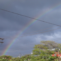 Foto de COTIA