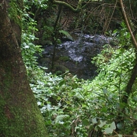 Foto de La Gomera