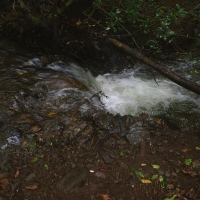 Foto de La Gomera
