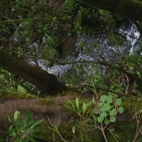 Foto de La Gomera