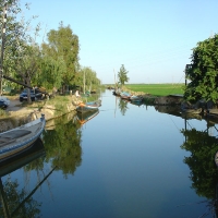 Foto de Silla
