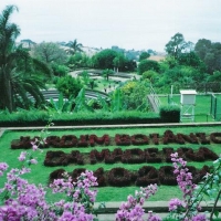 Foto de Madeira