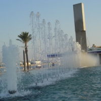 Foto de LAGOS