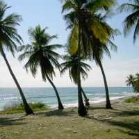 Foto de Bahoruco (Barahona)