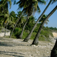 Foto de Bahoruco (Barahona)