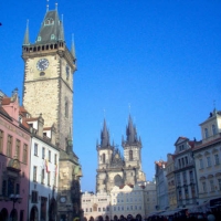 Foto de praga