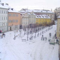 Foto de praga