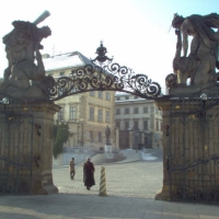Foto de praga