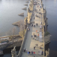 Foto de praga