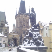 Foto de praga