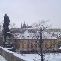 Foto de praga