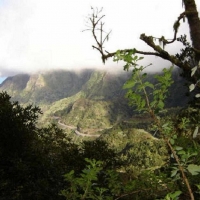 Foto de La Gomera