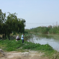 Foto de Alfafar