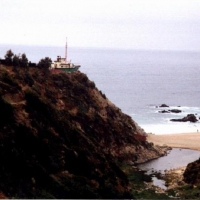 Foto de Algarrobo
